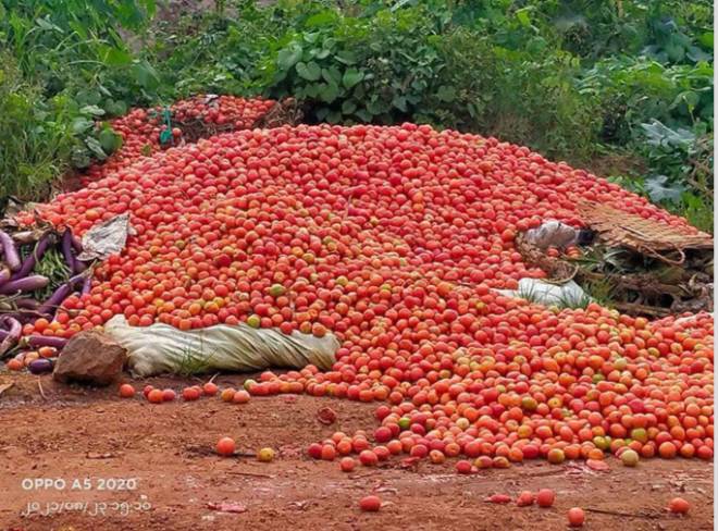 signal-2024-09-05-144201_003