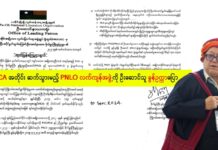 NCA အတိုင်း ဆက်သွားမည့် PNLO လက်ကျန်အဖွဲ့ကို ဦးဆောင်သူ ခွန်ဥက္ကာပြော