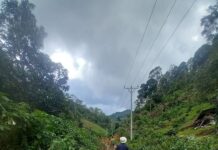 မဲနယ်တောင် သနပ်ဖက်ခြံစောင့် (၃)ဦး တောင်ကျရေကြောင့် မျှောပါသေဆုံး