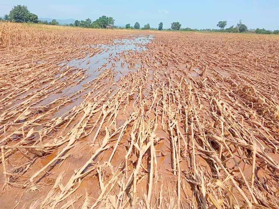 signal-2024-09-23-152008_006