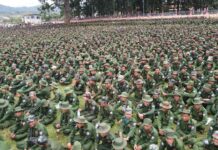 ပင်လောင်းမြို့နယ်မှ ဆုံးရှုံးနယ်မြေများကို ရွေးကောက်ပွဲမတိုင်မီ ပြန်လည်ထိန်းချုပ်နိုင်ဟု PNA ပြော