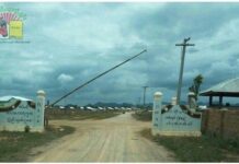 မန်ပန်ပြည်သူ့စစ် ထိန်းချုပ်သည့် လဲချားမြို့နယ်ထဲ ကျားဖြန့်လုပ်ငန်း ရွှေ့လာ