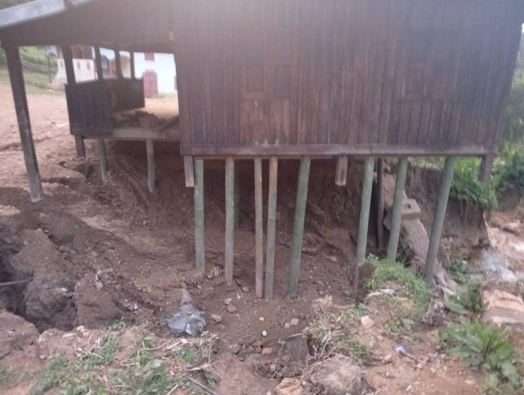 signal-2024-10-21-165342_005