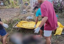 သီပေါမြို့တွင် မြေမြုပ်မိုင်းပေါက်ကွဲမှုကြောင့် ဒေသခံ ၁ ဦး သေဆုံး၊ ၂ ဦး ဒဏ်ရာရ