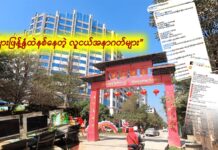 ကျားဖြန့်ထောင်ချောက်ထဲကျနေတဲ့ အနာဂတ်များ