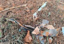 ကွတ်ခိုင်မြို့ပေါ် စစ်ကောင်စီတပ် လေကြောင်းထပ်မံ ဗုံးကြဲတိုက်ခိုက်၊ အရပ်သား ၁ ဦးသေဆုံး