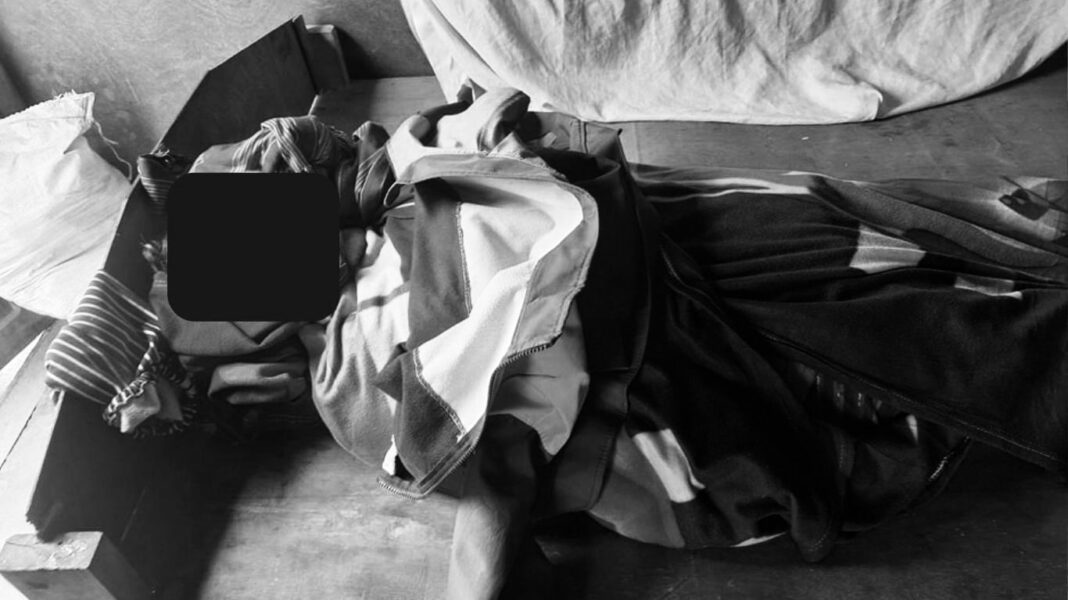 signal-2024-11-28-141244_002