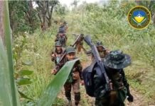 ရွာငံ-အောင်ပန်း လမ်းမကြီးပေါ် ဓနု PDF မှ စစ်ကောင်စီထုတ်ကုန်များကို ရှောင်တခွင်စစ်ဆေး