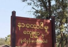 နားကောင်းမူးတွင် လောင်းကစားဝိုင်းများ စတင်ပြုလုပ်လာ