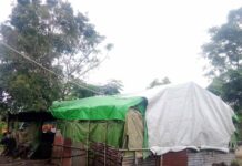 သျှမ်း-ကရင်နီတကြော ရောက် စစ်ရှောင်အချို့ ထင်းချောင်းခြောက်များကောက်ကာ ဝမ်းရေးဖြေရှင်းနေရ