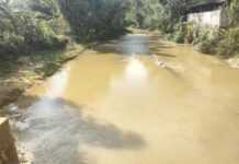 ကျောက်မဲမြို့နယ် TNLA နှင့် MNDAA ပေါင်းပြီး စက်ယန္တရားဖြင့် အကြီးအကျယ် ရွှေတူးဖော်နေ