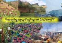 အေးချမ်းမှုများ ပျောက်ပြယ်သွားသည့် မဲနယ်တောင်