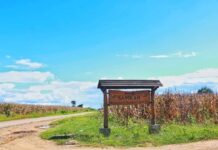 စံကားဒေသတွင် PNO မှ ပအိုဝ်းကျေးရွာများကို စစ်သားကောက်ပြီး ကျန်ကျေးရွာများတွင် လစဉ်ဆက်ကြေးကောက်