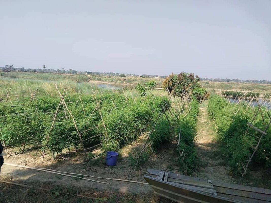 signal-2025-02-27-132916_002