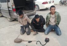 မူဆယ်မြို့ သေနတ်အတု ပြည်သူ့စစ်ယောင်ဆောင်သည့် အမျိုးသား (၃)ဉီး ဖမ်းဆီးခံရ