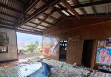 ငလျင်ဒဏ်သင့် ပင်လောင်းနယ်ခံများ နေအိမ်ပြန်လည်ထူထောင်ရေးအတွက်လိုအပ်