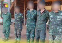 စစ်သုံ့ပန်းများကို ပစ်သတ်ခြင်းမရှိကြောင်း ပအိုဝ်းပြည်သူ့စစ် PNO ကငြင်းဆို