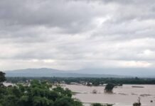 ရွှေလီမြစ်ရေကြီး မူဆယ်ခရိုင်အတွင်း သီးနှံ စိုက်ခင်းဧက (၄,၀၀၀) ကျော် ရေလွှမ်းမိုးခံရ