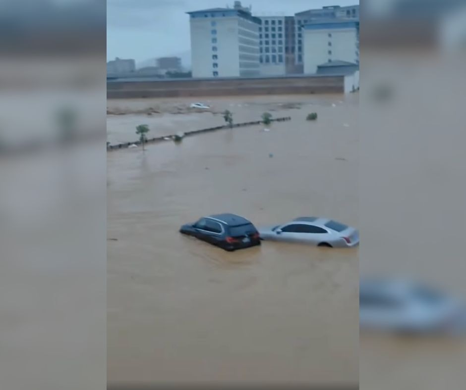 signal-2025-07-23-125505_002