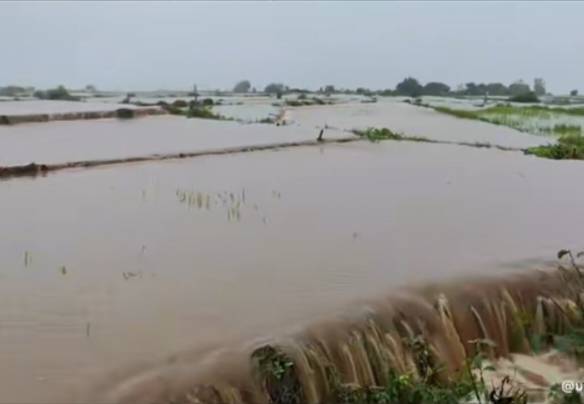 signal-2025-08-06-151459_004