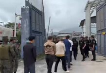 မူဆယ် ကျင်စန်းကျော့နယ်စပ်ဂိတ်မှတဆင့် ကျားဖြန့်တရုတ်များကို FDMR မီးနဂါးတပ် လွှဲပေး