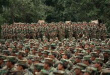 မိုးကုတ်တွင် ဂေါ်ရခါးလူမျိုးများကို TNLA တပ်သားသစ်စုဆောင်းနေ