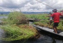 အင်းလေးကန် မတိမ်ကော ရန် ပူးပေါင်းဆောင်ရွက်ရန်လိုအပ်