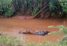 သီပေါ-နမ့်လန်ကားလမ်းဘေး ရေချောင်းထဲ ပလတ်စတစ်ထုပ်ပြီး စွန့်ပစ်ထားသည့် အလောင်းတွေ့