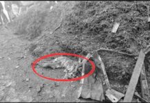 စစ်ကော်မရှင် TNLA ထိန်းချုပ် နမ္မတူနှင့် နမ့်ဆန် ဗုံးထပ်မံကြဲ၊ အရပ်သား ၃ဦးသေဆုံး