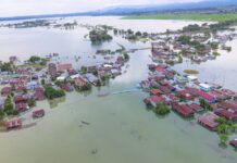 လုပ်သားရှားပါးမှုကြောင့် ရှေ့နှစ်ဆန်ရှားပါးမှု ပြဿနာဖြစ်လာနိုင်