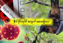 နီပါ ဗိုင်းရပ်စ် အတွက် ဆေးမရှိသေး