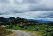 ဟိုပုံး – ကျောက်တန်း – ပင်လုံလမ်း ဘုရားဖူးယာဉ်တစ်စီး ချောက်ထဲကျ ၆ ဦး သေဆုံး