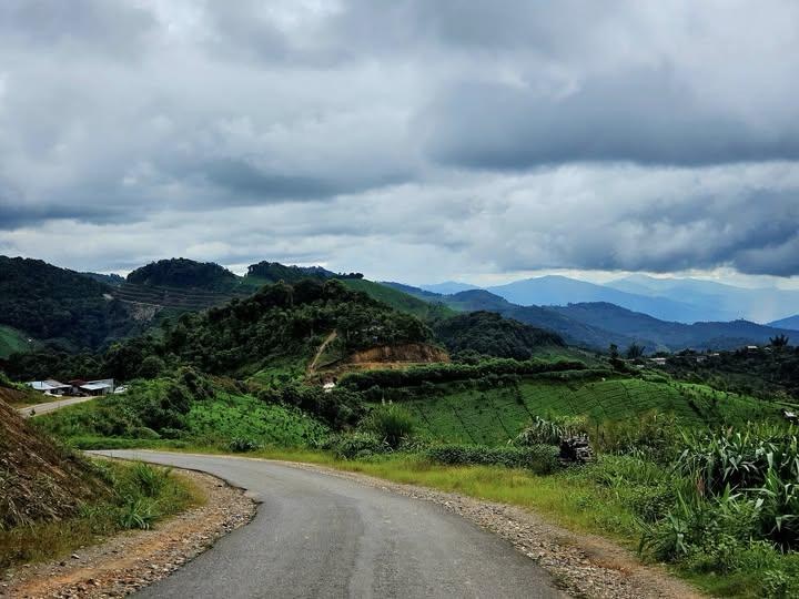 C668DF13-076A-4563-B029-78A40846D1CA