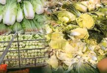 သျှမ်းတောင်တွင် မုန်ညှင်းထုပ်ဈေးကျဆင်း၊ လွှင့်ပစ်နေရခြင်းကြောင့် တောင်သူအရှုံးပေါ်