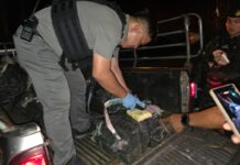 မူးယစ်ဆေးပြား၅ သန်းခန့် ချင်းရိုင်တွင် ဖမ်းမိ၊ သယ်ဆောင်သူများ ထွက်ပြေးနေ