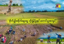 စိုက်ပျိုးစရိတ်ချေးငွေ တိုးမြှင့်မှုနှင့် တောင်သူအကျပ်
