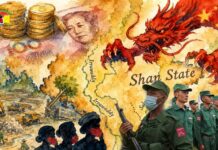 တော်လှန်ရေးလမ်းစဉ်မှသည် တရုတ်အလိုတော်ရိဆီသို့ – MNDAA ၏ အာဏာစက်အောက်မှ သျှမ်းပြည်မြောက်ပိုင်း၏ နိုင်ငံရေးနှင့် လူမှုစီးပွားအကျပ်အတည်း