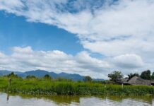 အင်းလေးတွင် ကျွန်းမျောဆယ်ယူသည့် ဒေသခံများ ဖမ်းဆီးခံရ