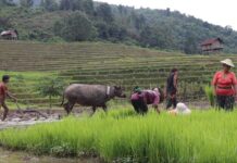 စစ်စရိတ်နှင့် သယံဇာတ – တအာင်းဒေသတွင် မြေရှားသတ္တုတူးဖော်မှု အရှိန်အဟုန်ဖြင့် တိုးလာနေ
